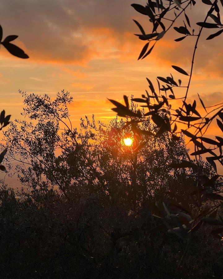 Poggio Alla Pieve Relais カレンツァーノ エクステリア 写真